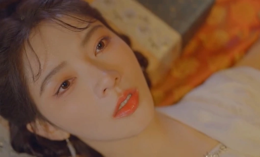 Тайный страж с красными рукавами 24 серия