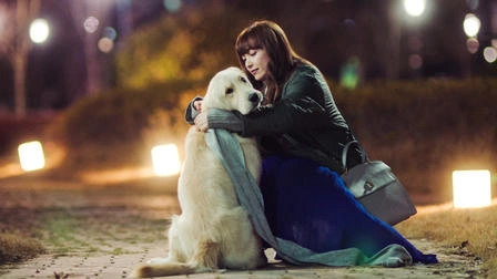 Романтическое приложение 4 серия