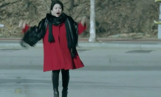 Вампир-детектив 4 серия