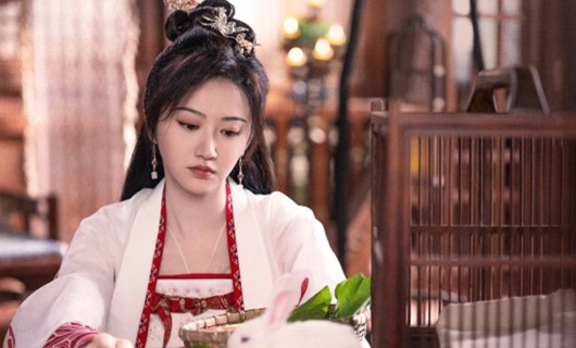 Чудесная страна любви 25 серия