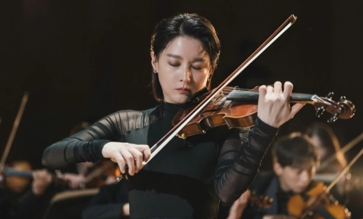 Маэстра 12 серия