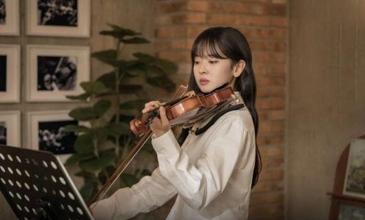 Маэстра 8 серия