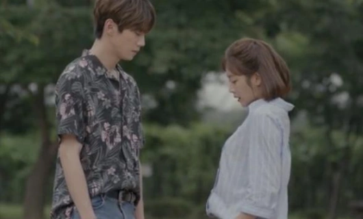 До свидания 20 серия