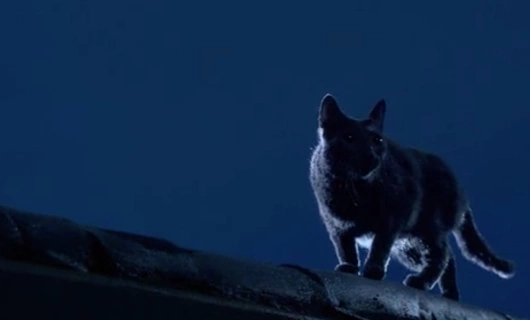 Принц с чердака 1 серия