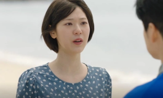 Красавица и преданный поклонник 16 серия