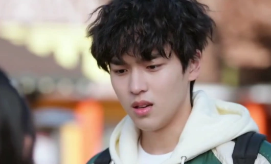 Красавица и преданный поклонник 26 серия