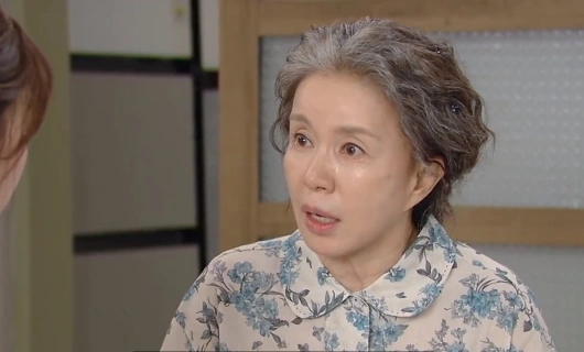 Красавица и преданный поклонник 30 серия