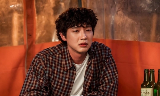 Красавица и преданный поклонник 9 серия