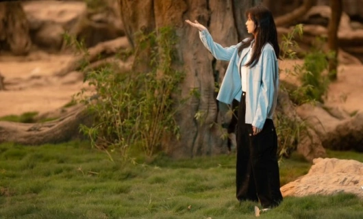 19 этаж 26 серия