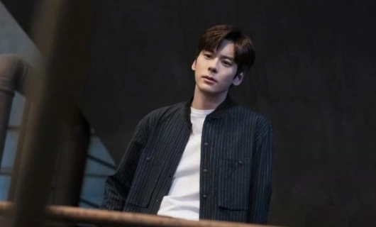 19 этаж 30 серия