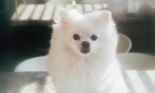 Среда 15:30 4 серия