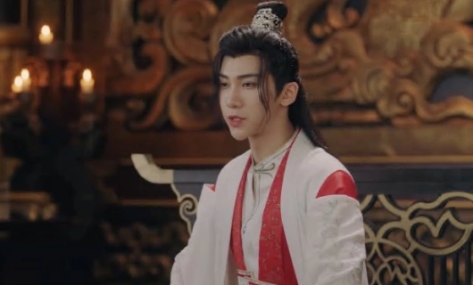 Другая принцесса 20 серия