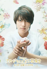 Дорама Цветы для Элджернона