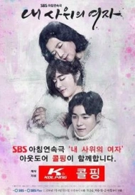 Постер дорамы «Девушка моего зятя»