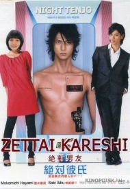 Дорама Идеальный парень (Япония)