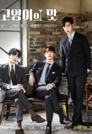 Дорама Кошачий бар 1 сезон