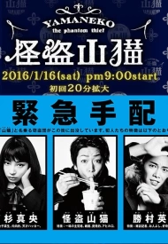 Дорама Таинственный вор Яманэко