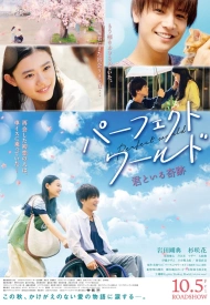 Дорама Идеальный мир