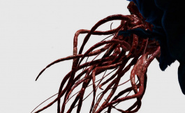 Подборка дорам со взрослыми сценами