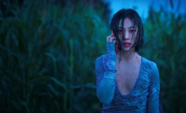 Подборка дорам про полицейских