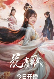 Дорама Другая принцесса