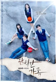 Дорама Идеальная семья