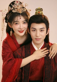 Постер дорамы «Тайный страж с красными рукавами»