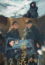 Дорама Тибетский морской цветок