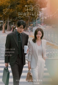 Постер дорамы «Мой идеальный секретарь»