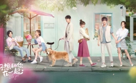 Подборка дорам романтика