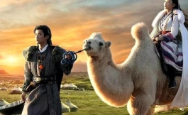 Подборка дорам романтика