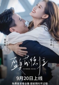 Дорама Летняя роза