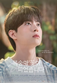 Дорама Персиковая ловушка