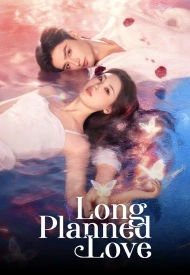 Постер дорамы «Спланированная любовь»