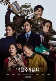 Постер дорамы «Так получилось»