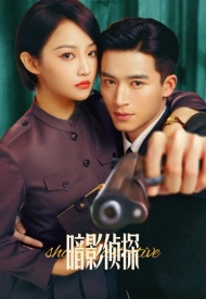 Дорама Теневой детектив