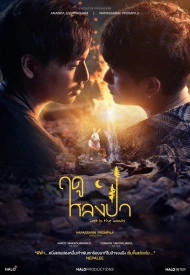 Постер дорамы «Заблудившийся в лесу»