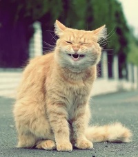 Лариса Куренкова