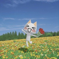 София Минейкина