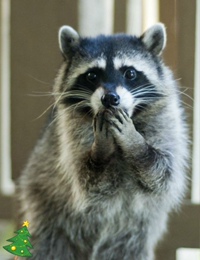 Максим Троцюк