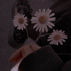 Карлыгач Алмасбекова