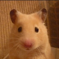 Полина Иванова