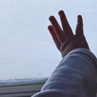 Елена Маликова