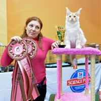 Елена Васильева