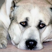 Наталия Константинова