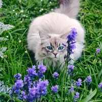 Сильвестр Угрюмов