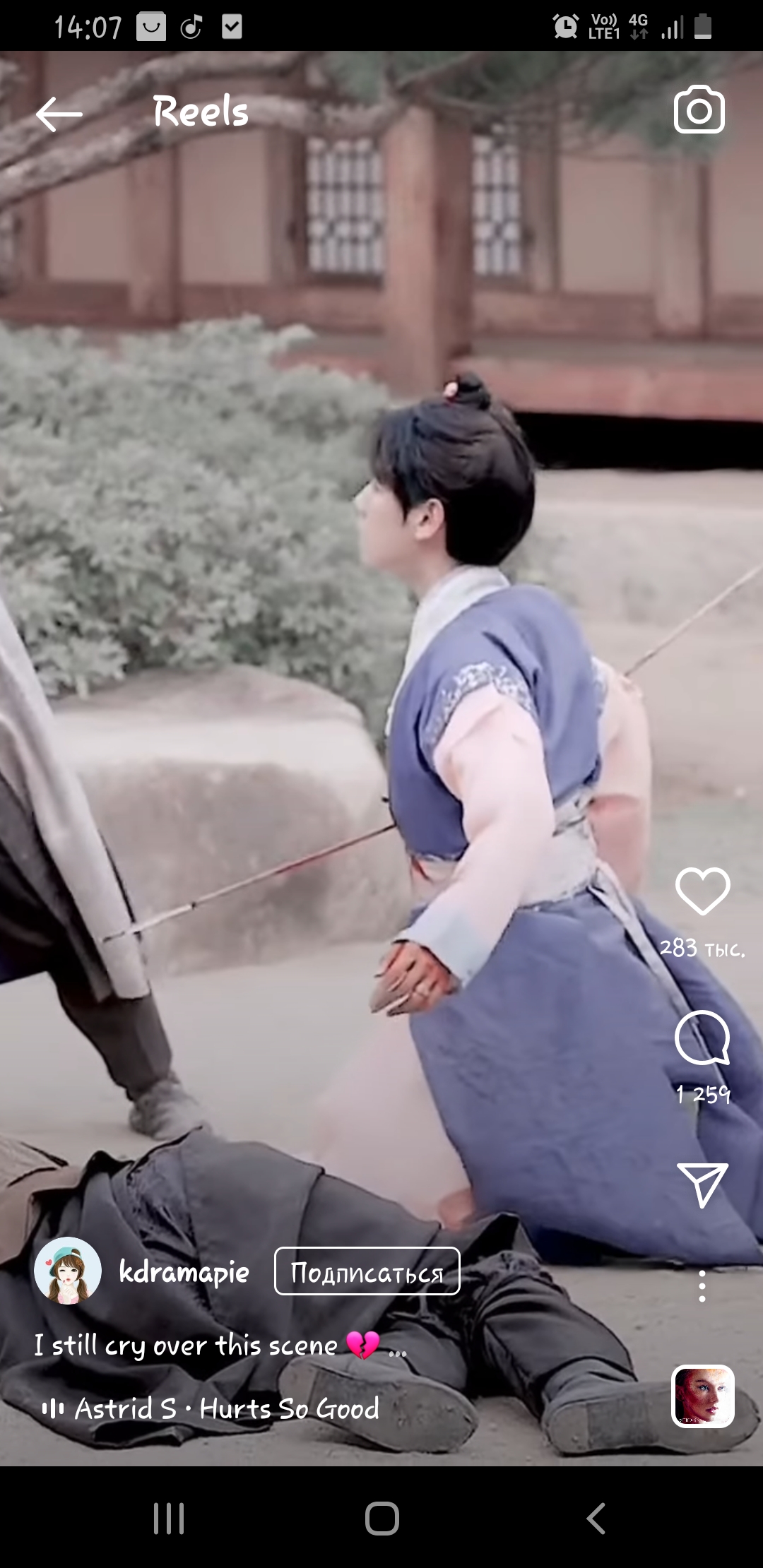 Нюхай бебру