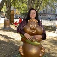 Света Новикова