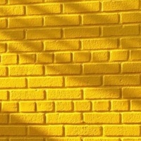 Насрудинова Фатима