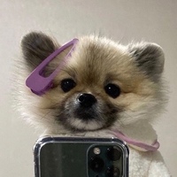 Мирослава Алексеева